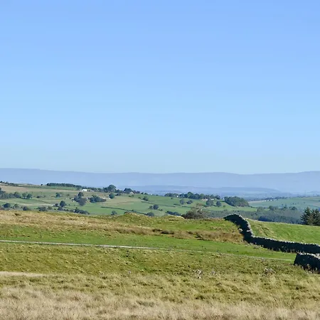 Meadow * Westward